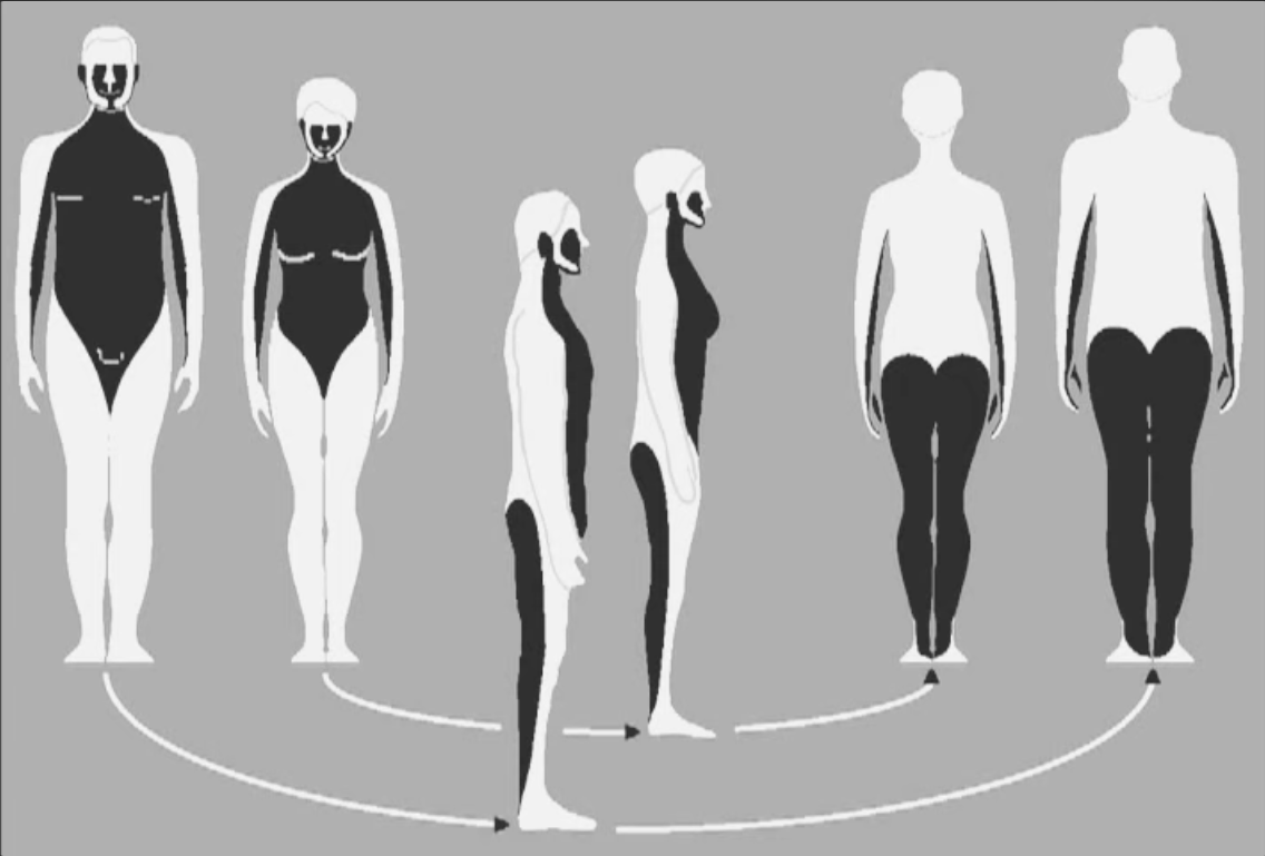 Diagram showing the locations of dorsal (white) and ventral (black) surfaces on organisms and humans