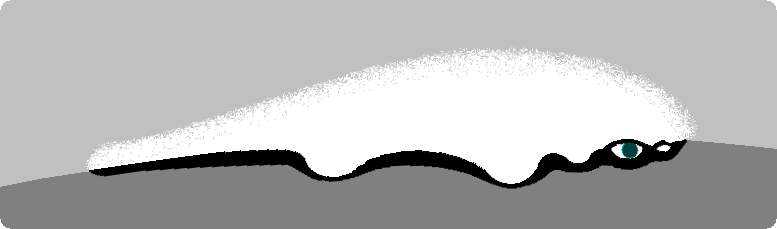 Illustration of evolutionary waves in movement