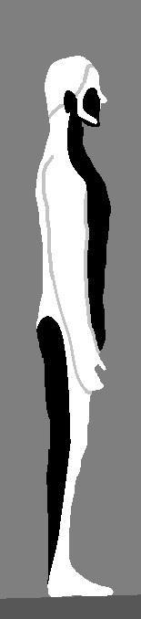 Illustration showing the director, motor, and rudder segments of the body